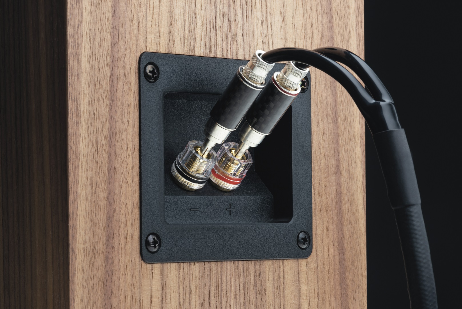 pro-ject-connect-it-ls-rs-lautsprecherkabel image 3