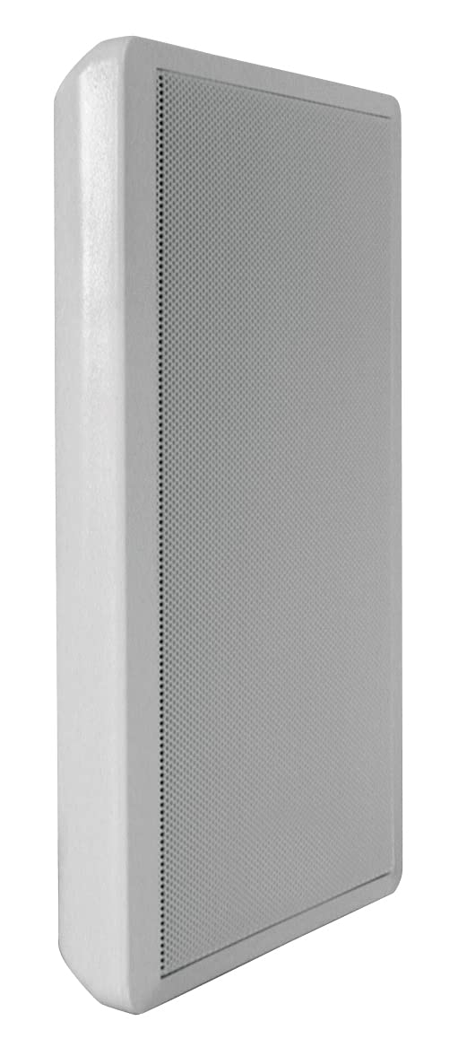 dynavox-ws-502-flatpanel-lautsprecher-paar-silber-40-watt-wand-und-surroundbox image 1