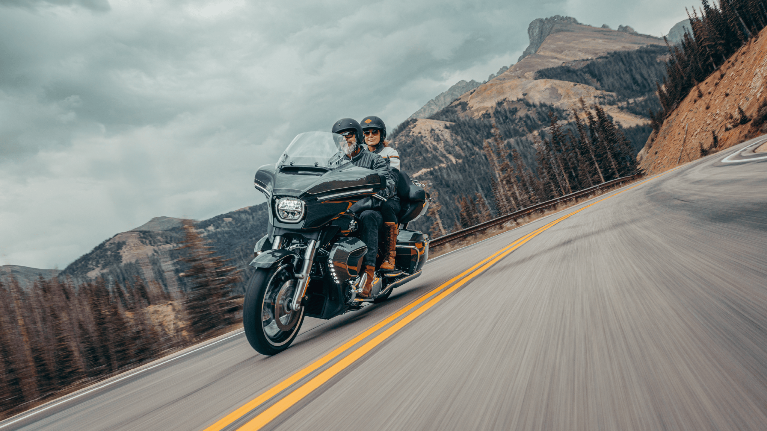 pro-ject-harley-davidson-turntable-limitierter-plattenspieler-der-artist-collect image 5