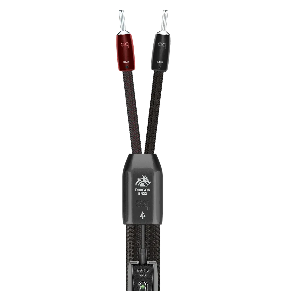 audioquest-dragon-bass-massive-perfect-surface-silver-pss-leiter image 1