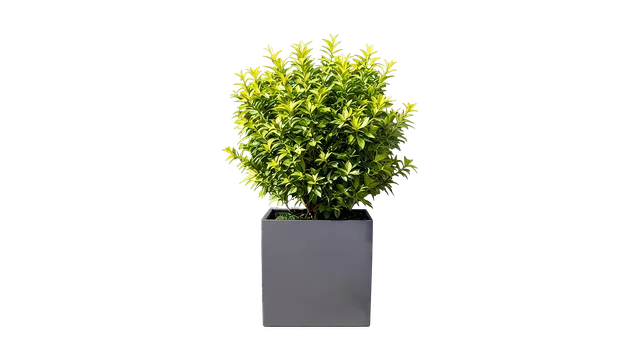 revox-botanic-50-outdoor-lautsprecher-blumentopf-wetterfest image 1