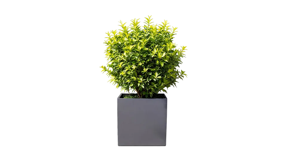 revox-botanic-70-outdoor-lautsprecher-handgefertigt image 1