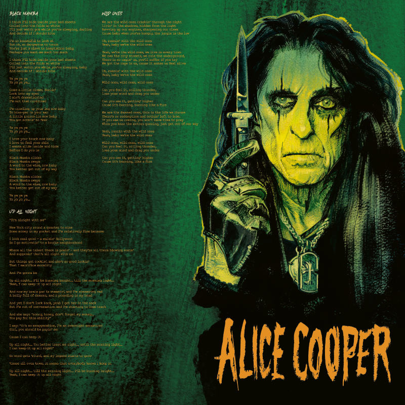 revox-b77-alice-cooper-the-revenge-of-alice-cooper-master-tape image 8