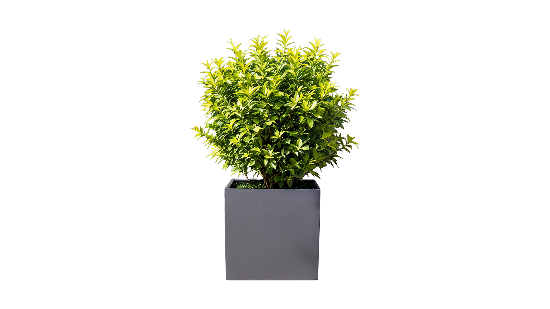 revox-botanic-50-outdoor-lautsprecher-blumentopf-wetterfest image 1