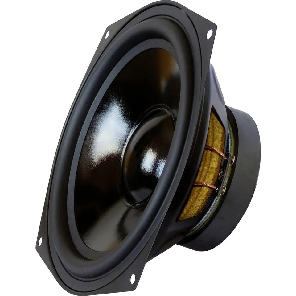 dynavox-206160-200-mm-basslautsprecher-8-ohm-schwarz image 1