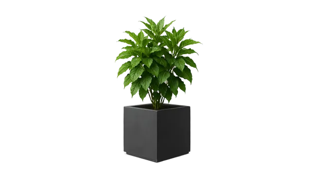revox-botanic-50-indoor-invisible-speaker-pflanzgef-version-opposite image 1