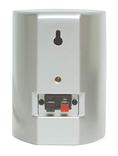 dynavox-as-301-satelliten-lautsprecher-paar-kompakt-wandmontage-silber image 7