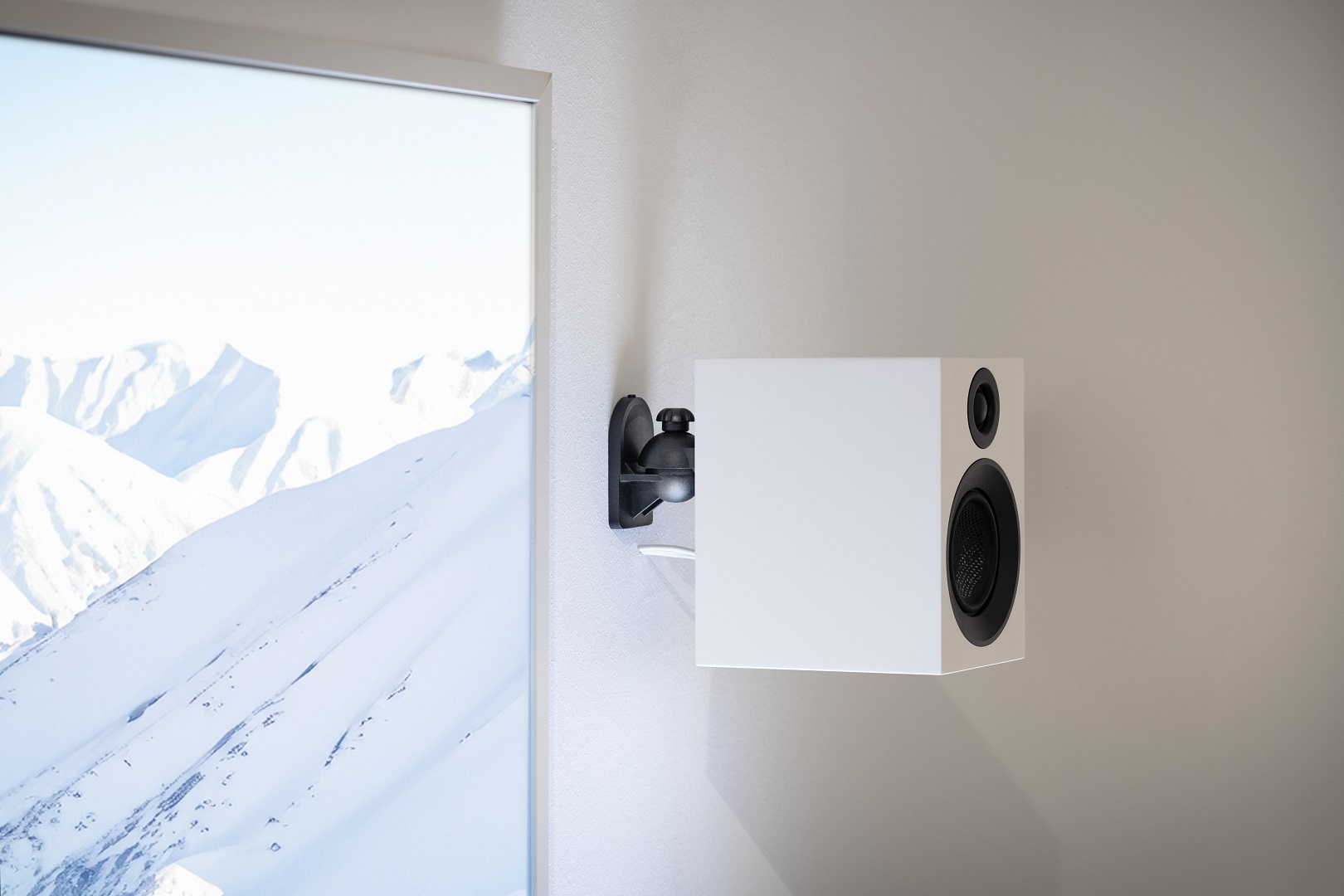 pro-ject-speaker-box-3-e-carbon-regallautsprecher image 3